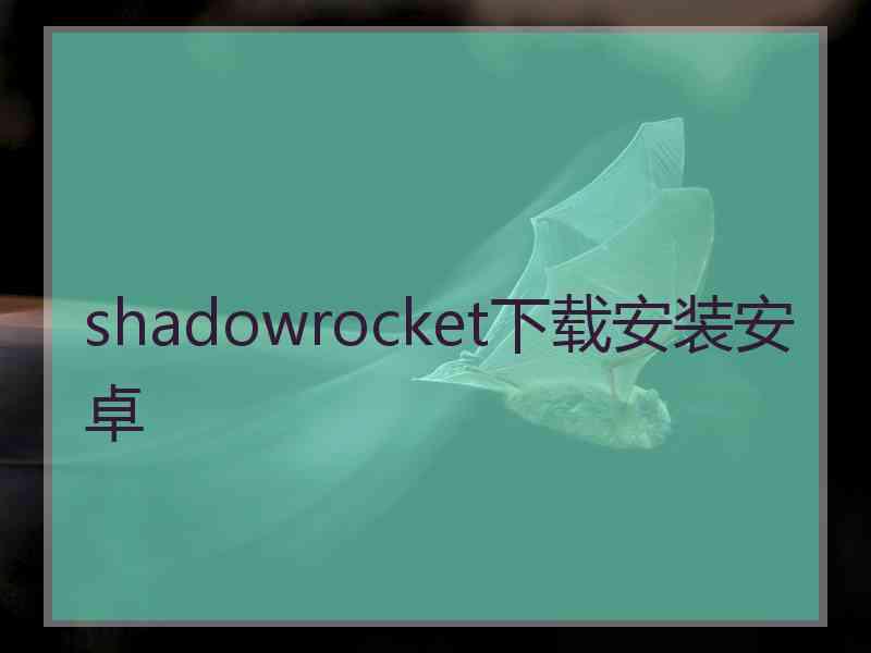 shadowrocket下载安装安卓