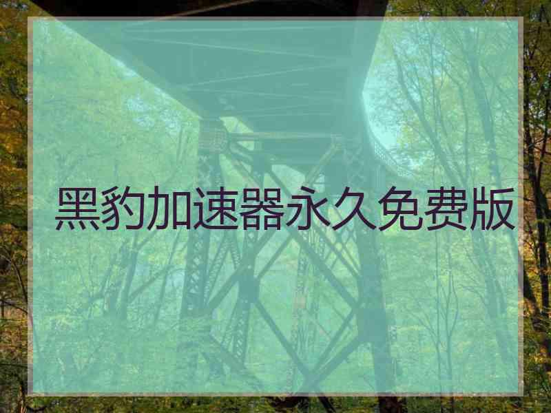 黑豹加速器永久免费版