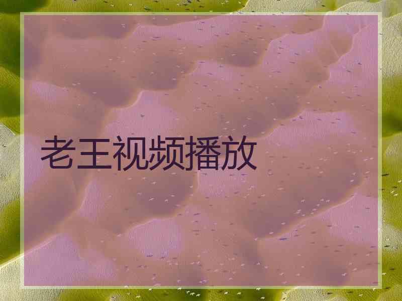老王视频播放