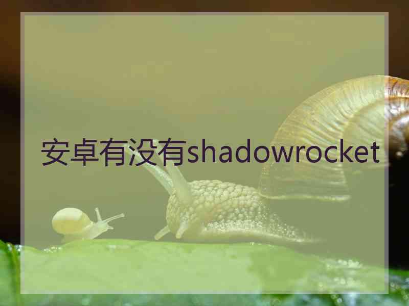 安卓有没有shadowrocket