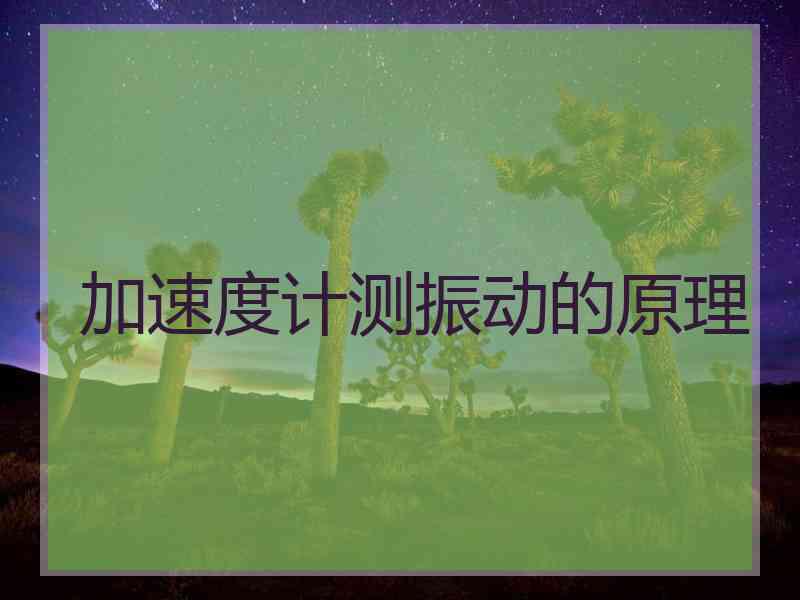 加速度计测振动的原理