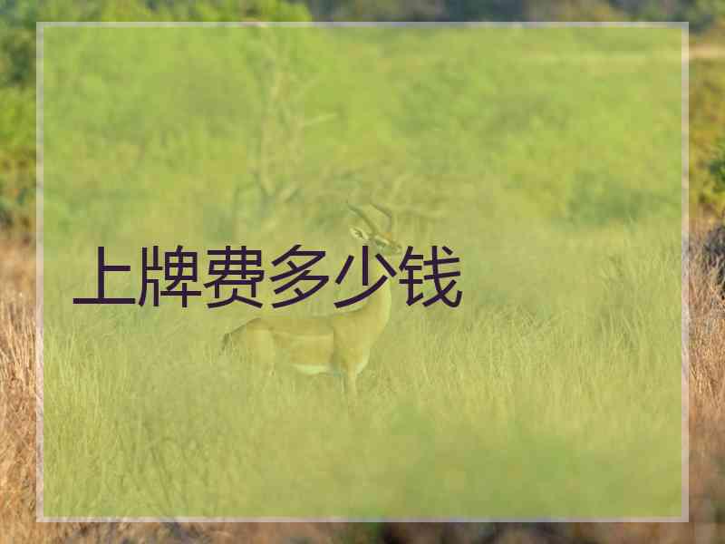 上牌费多少钱