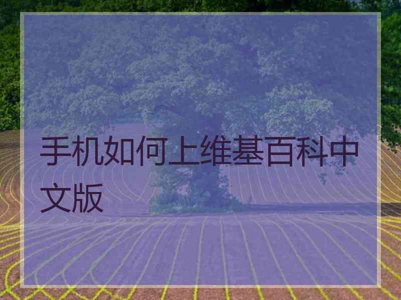 手机如何上维基百科中文版