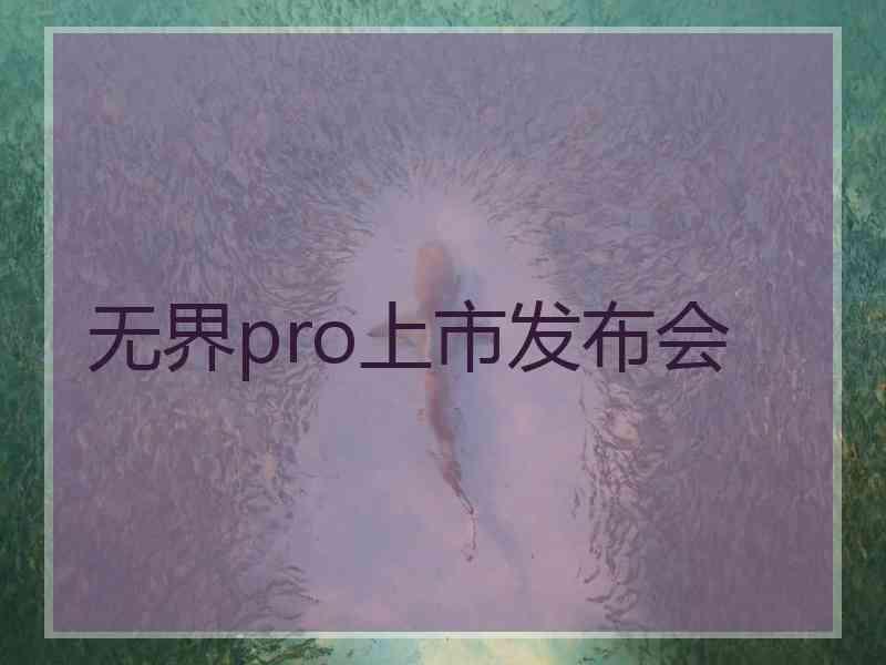 无界pro上市发布会