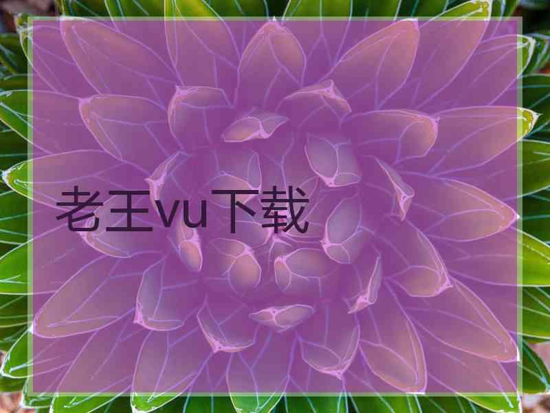 老王vu下载