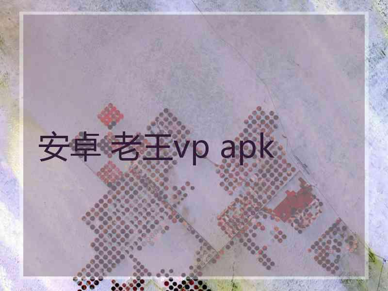 安卓 老王vp apk