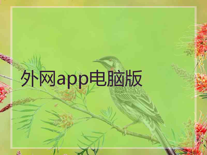 外网app电脑版