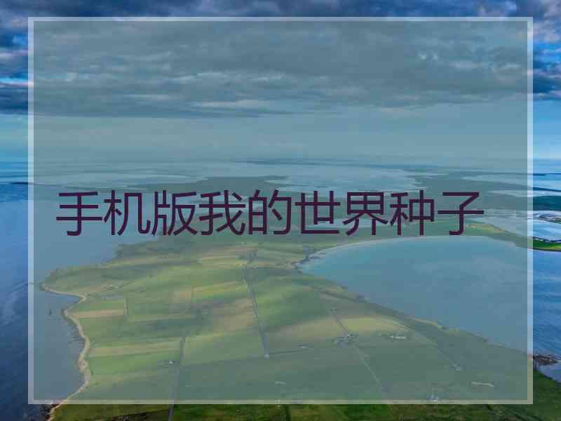 手机版我的世界种子