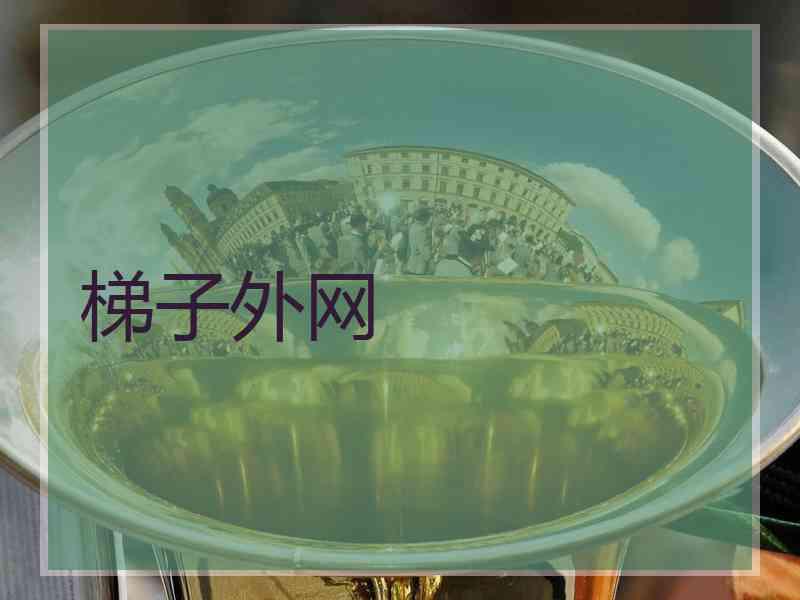 梯子外网