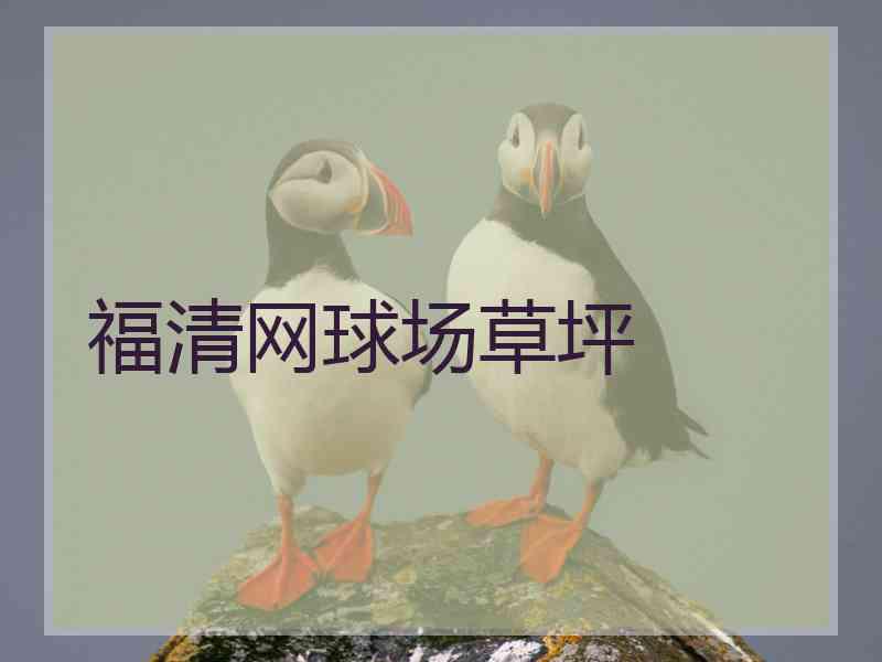 福清网球场草坪
