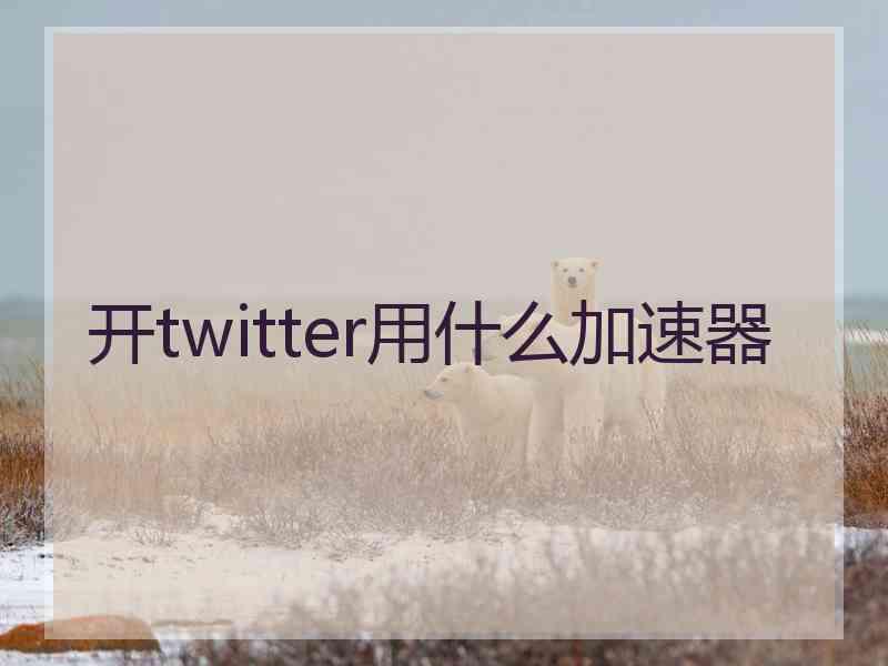 开twitter用什么加速器