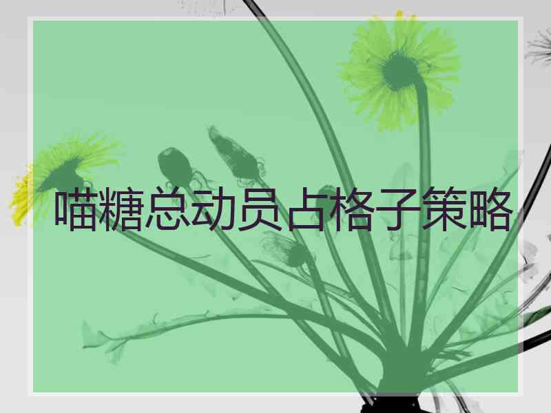 喵糖总动员占格子策略