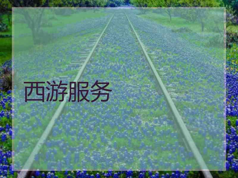 西游服务