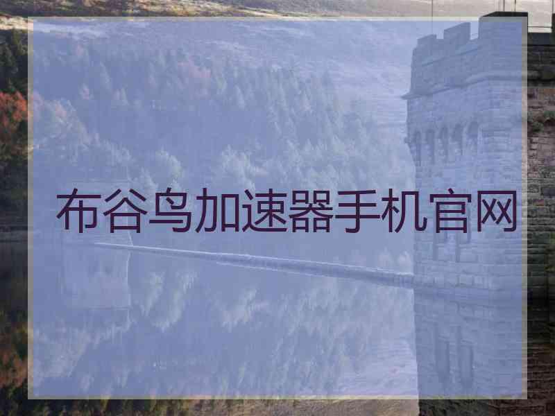 布谷鸟加速器手机官网