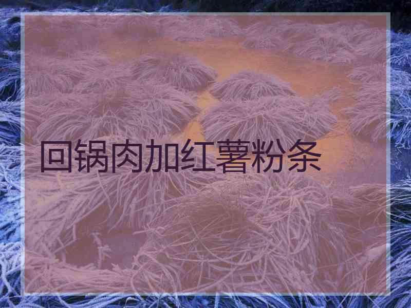 回锅肉加红薯粉条