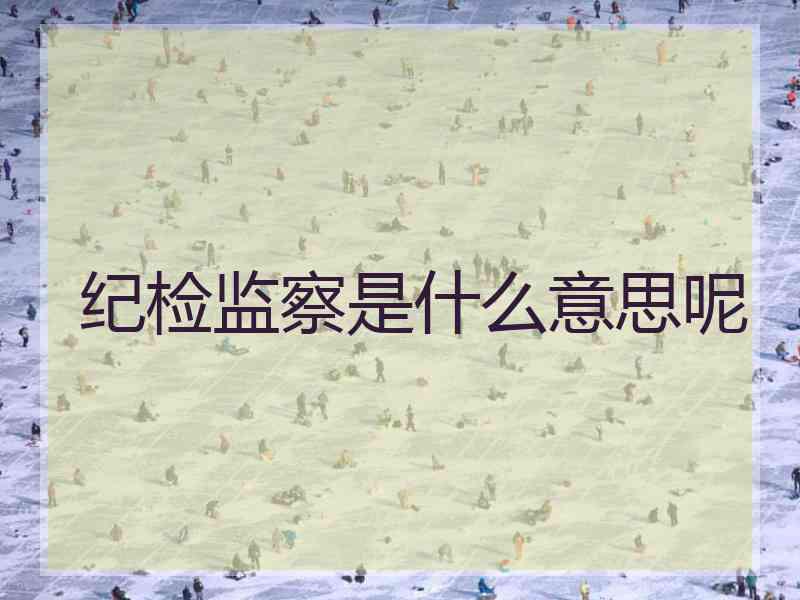 纪检监察是什么意思呢
