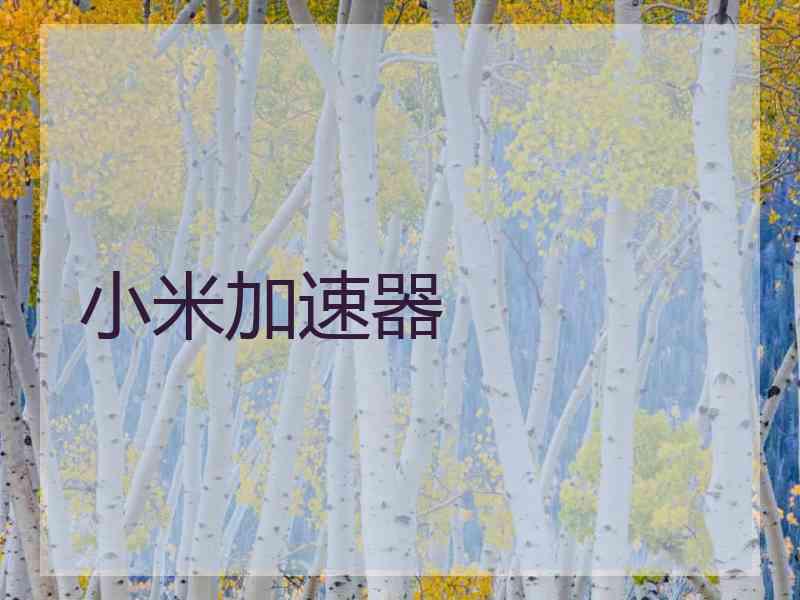 小米加速器