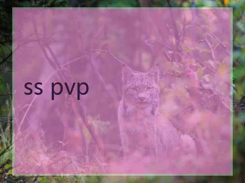 ss pvp