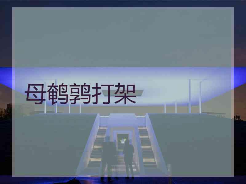 母鹌鹑打架