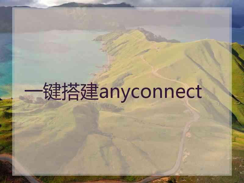 一键搭建anyconnect