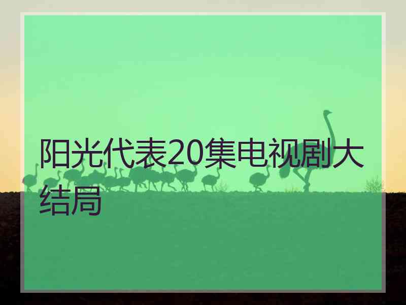 阳光代表20集电视剧大结局