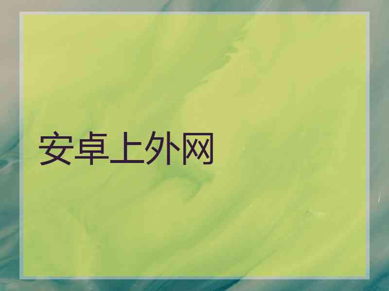 安卓上外网
