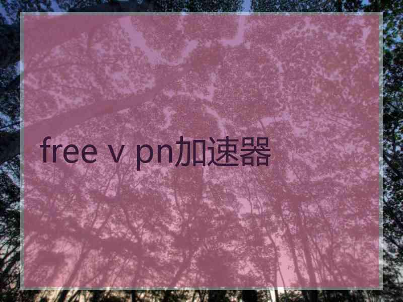 free v pn加速器