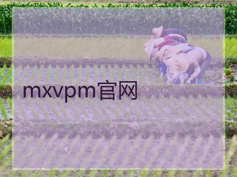 mxvpm官网