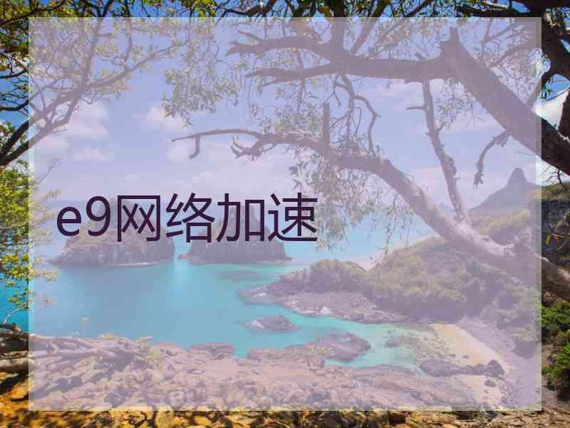 e9网络加速