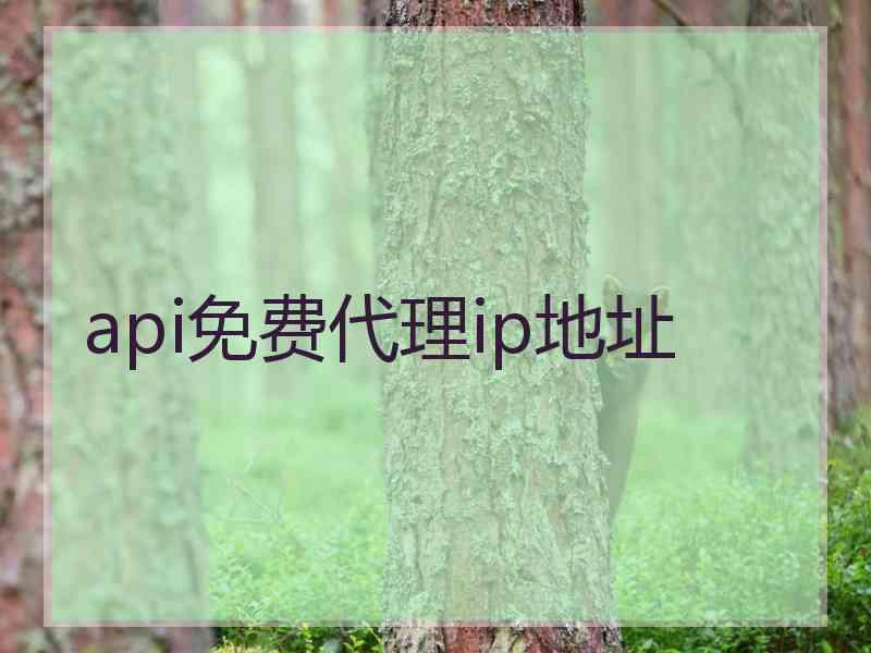 api免费代理ip地址