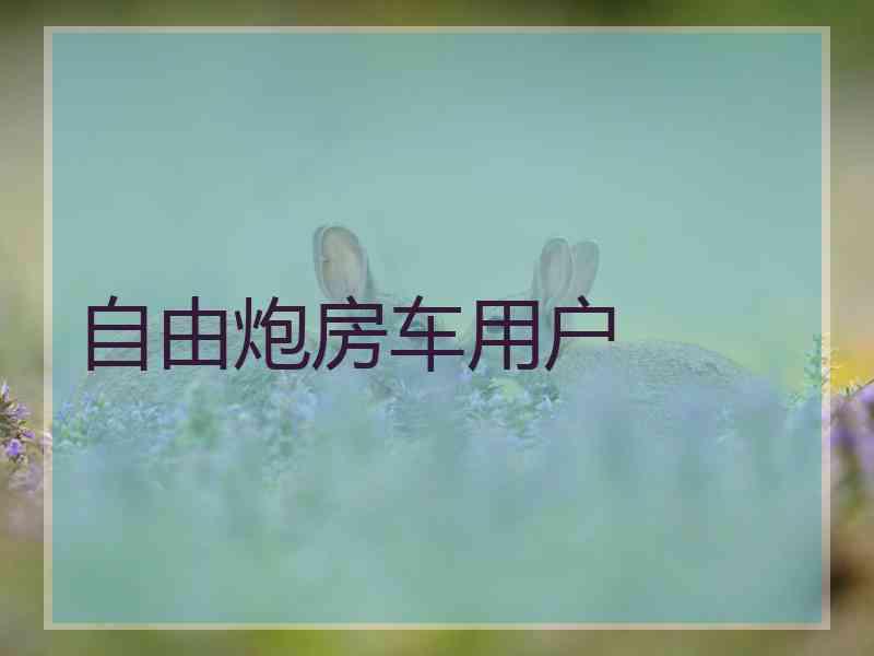 自由炮房车用户