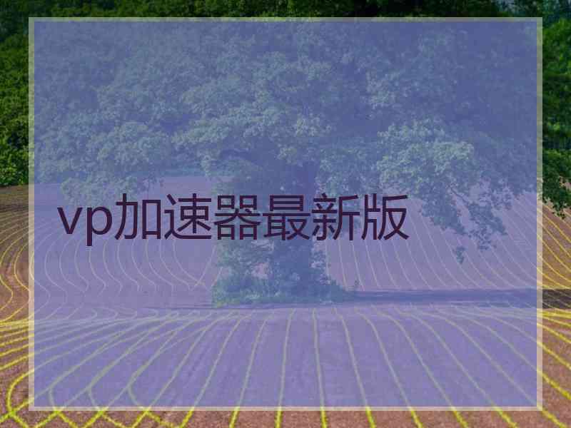 vp加速器最新版