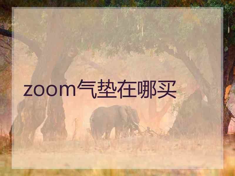 zoom气垫在哪买