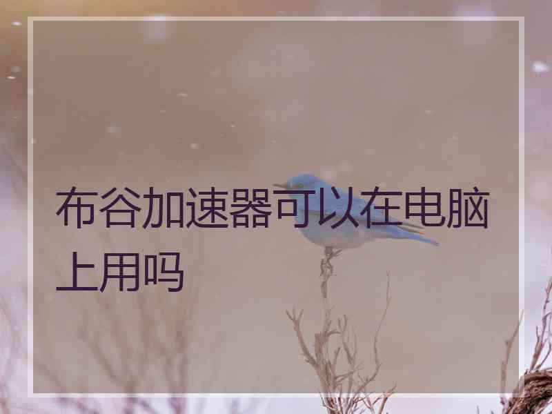布谷加速器可以在电脑上用吗
