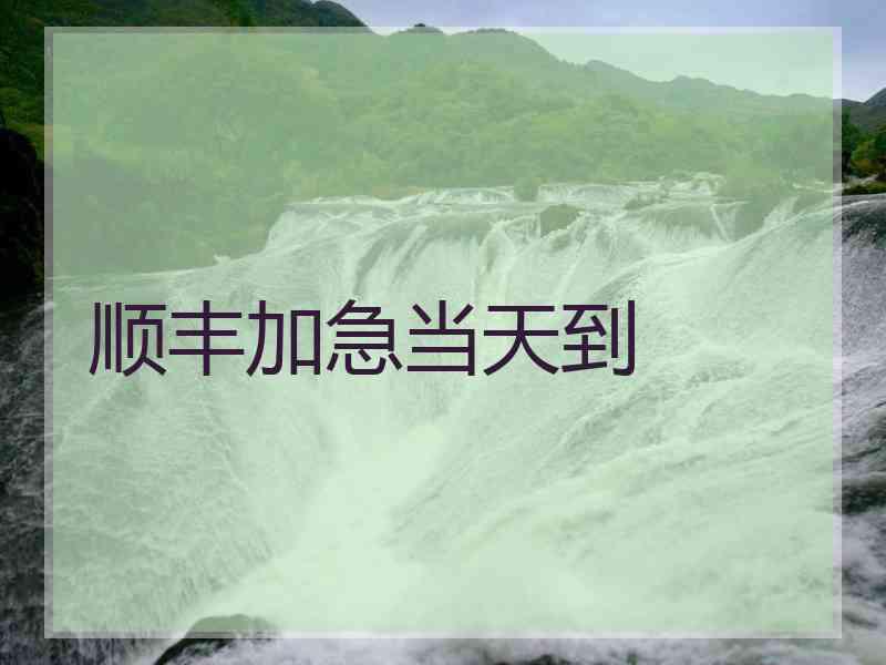 顺丰加急当天到