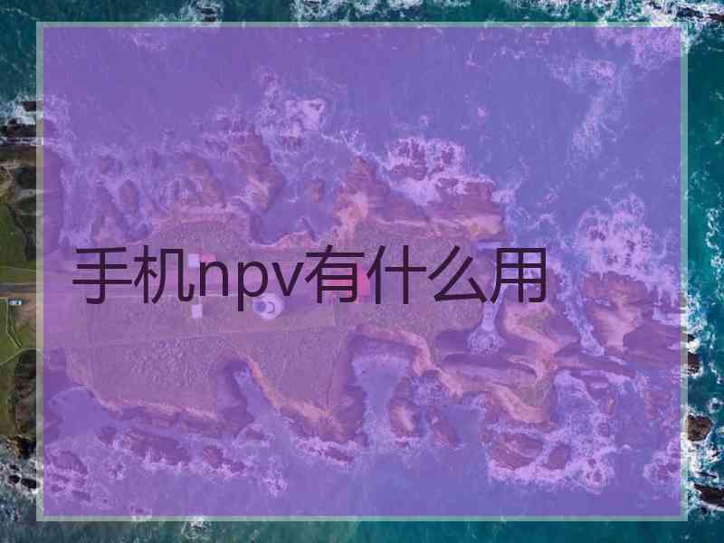 手机npv有什么用