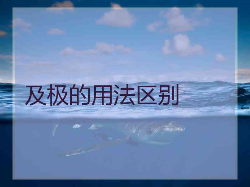 及极的用法区别