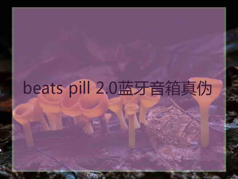 beats pill 2.0蓝牙音箱真伪