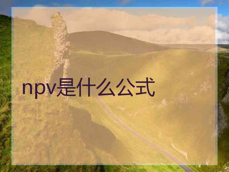 npv是什么公式