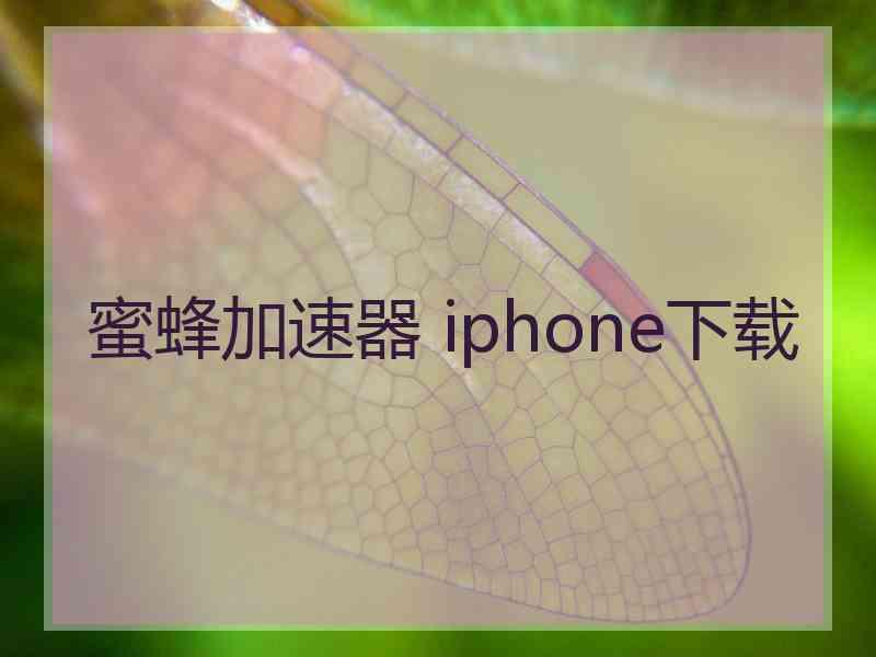 蜜蜂加速器 iphone下载