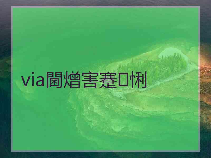 via閫熷害蹇悧