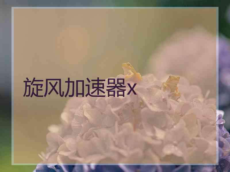 旋风加速器x