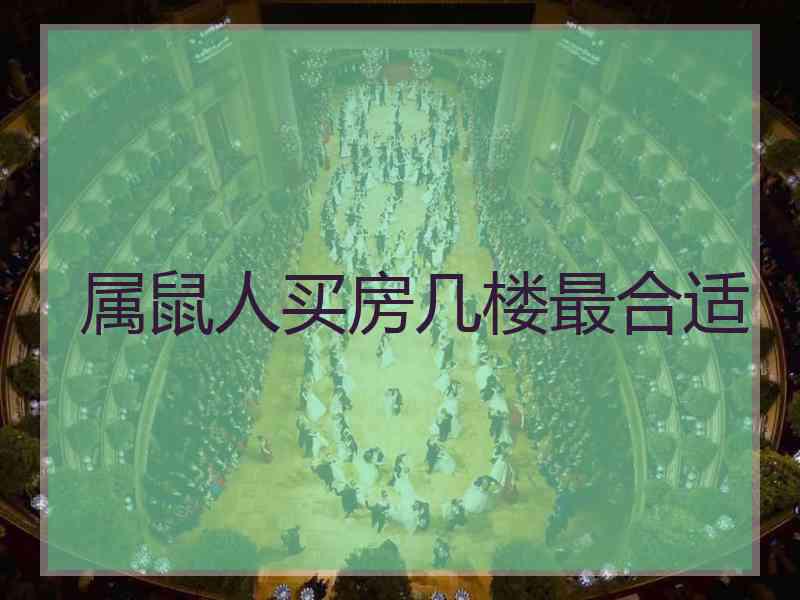 属鼠人买房几楼最合适