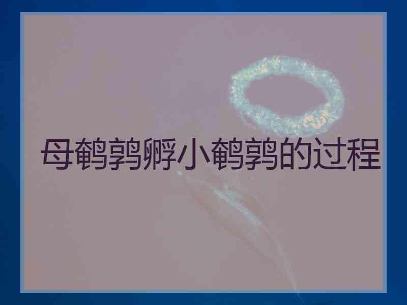 母鹌鹑孵小鹌鹑的过程