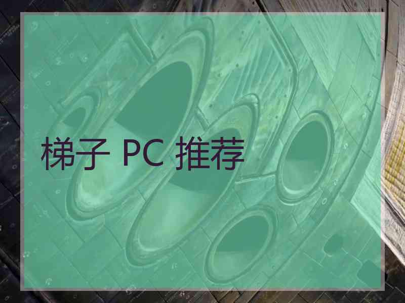 梯子 PC 推荐