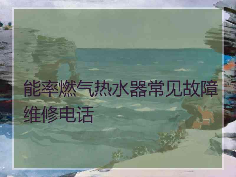 能率燃气热水器常见故障维修电话