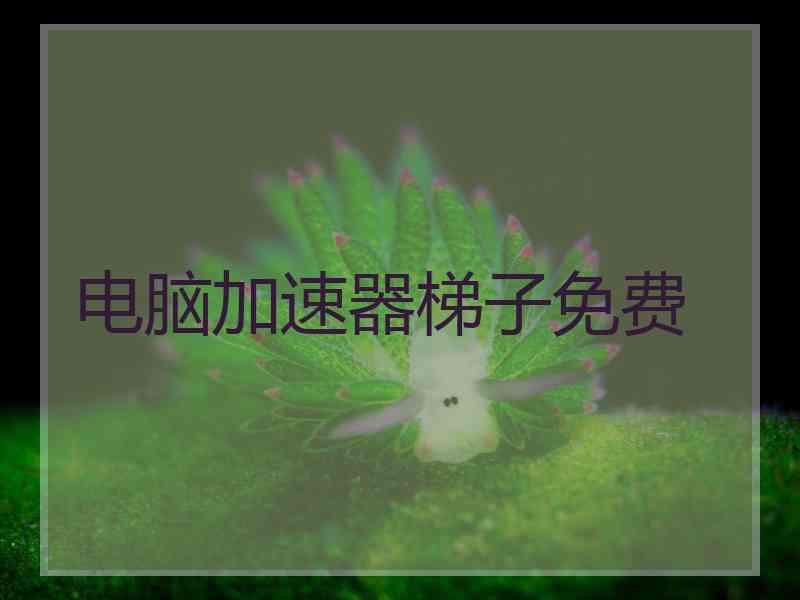 电脑加速器梯子免费