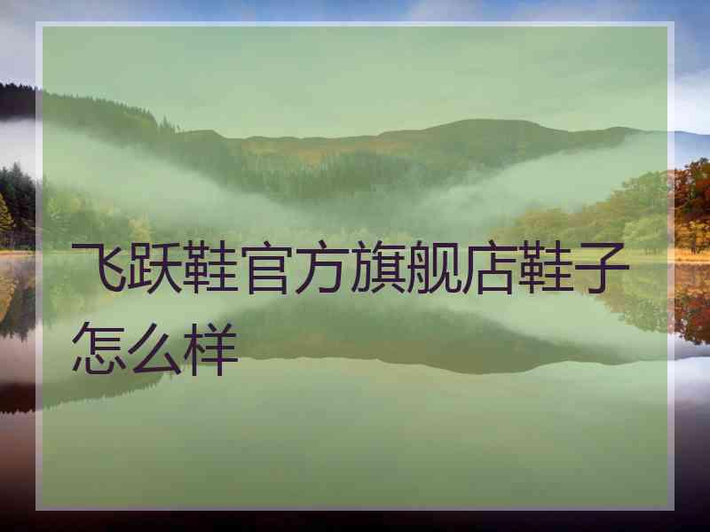 飞跃鞋官方旗舰店鞋子怎么样