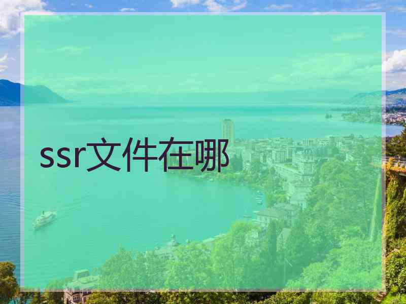 ssr文件在哪