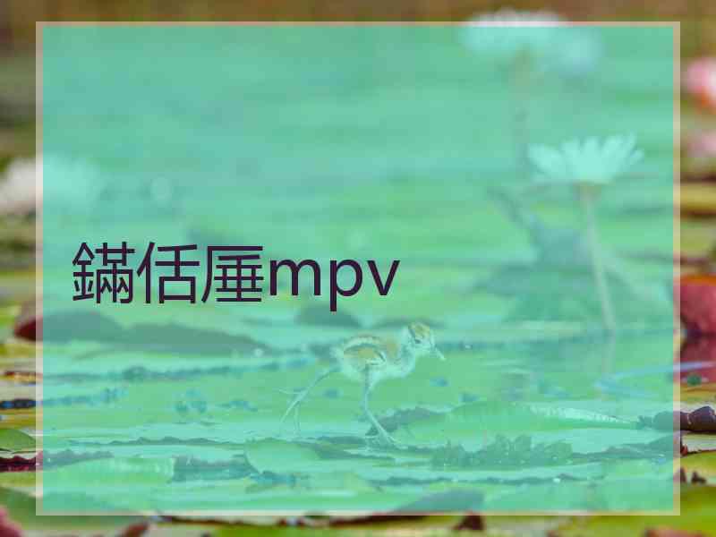 鏋佸厜mpv